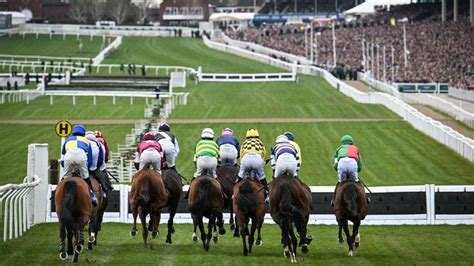 Cheltenham Festival records .